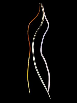 Kézzel festett pasztel lila és vöröses sárgás barna fehér fekete középen csíkos valódi madártoll Hajbatoll 3 darabos szett fekete háttéren fotózva