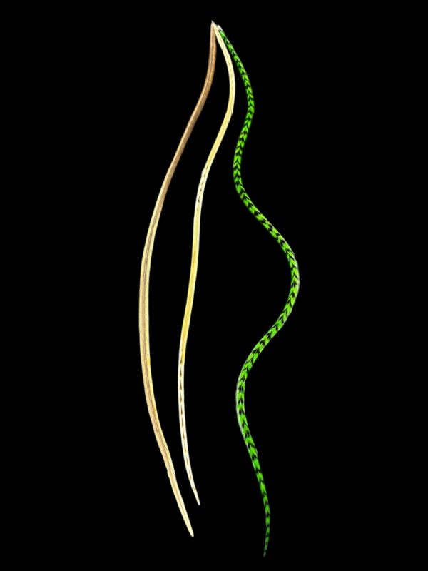 Hajbatoll - XL - 02 Kézzel festett zöld és natúr homok barna valódi madártoll Hajbatoll 3 darabos szett fekete háttéren fotózva