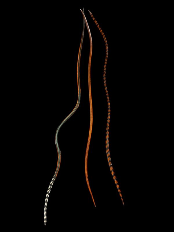 Vöröses barnás csíkos végű sima és csíkos natúr valódi madártoll Hajbatoll 3 darabos szett fekete háttéren fotózva