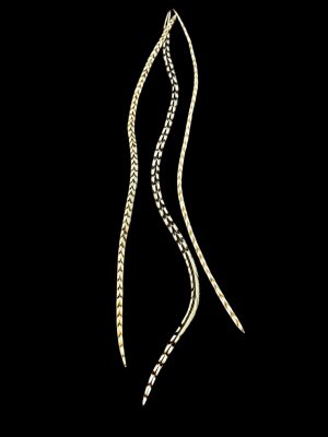 Barna fehér csíkos natúr valódi madártoll Hajbatoll 3 darabos szett fekete háttéren fotózva