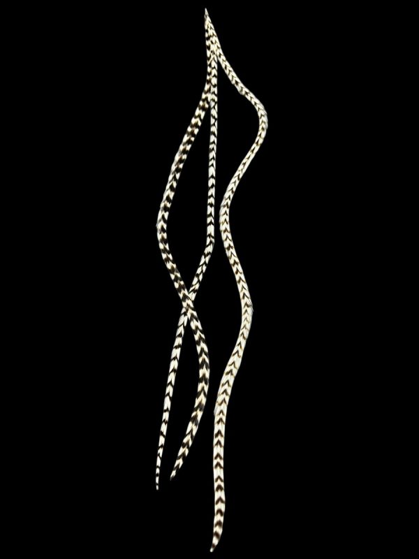 Natúr fekete fehér csíkos valódi madártoll Hajbatoll 3 darabos szett fekete háttéren fotózva