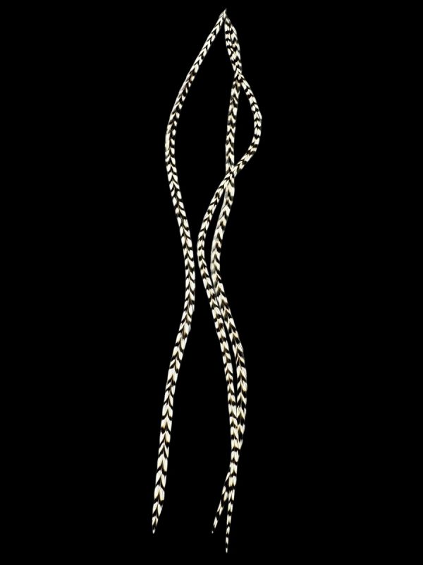 Natúr fekete fehér zebra csíkos valódi madártoll Hajbatoll 3 darabos szett fekete háttéren fotózva