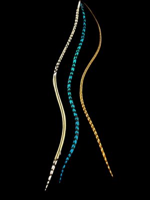 Natúr homok barna és vöröses barna csíkos végű és Türkiz kék csíkos valódi madártoll Hajbatoll 3 darabos szett fekete háttéren fotózva