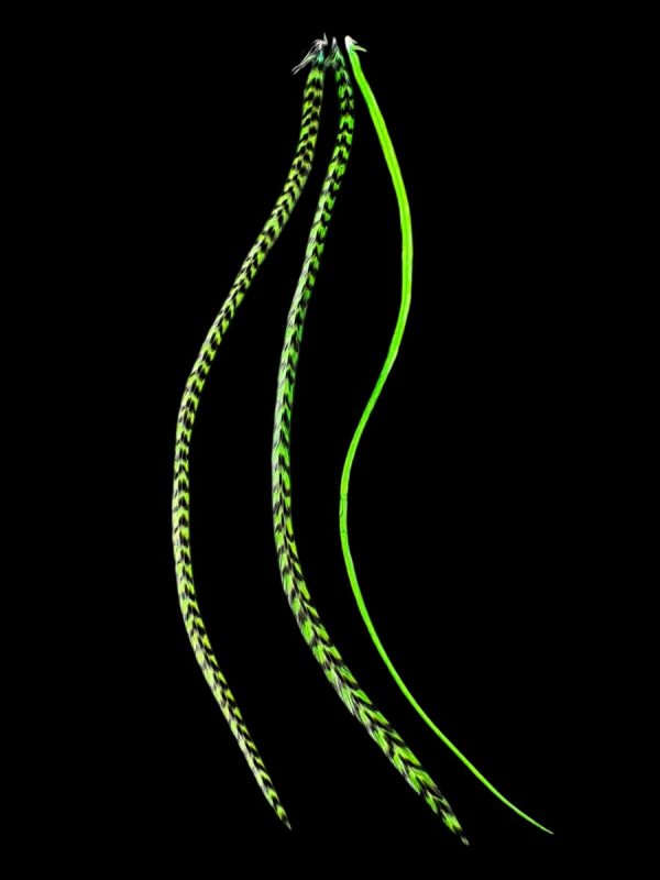 Kézzel festett élénk zöld valódi madártoll Hajbatoll 3 darabos szett fekete háttéren fotózva