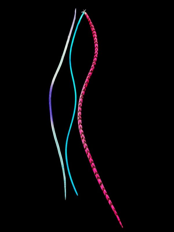 Hajbatoll - XL - 22 Kézzel festett rózsaszín világoskék és kékes lilás átmenetes valódi madártoll Hajbatoll 3 darabos szett fekete háttéren fotózva