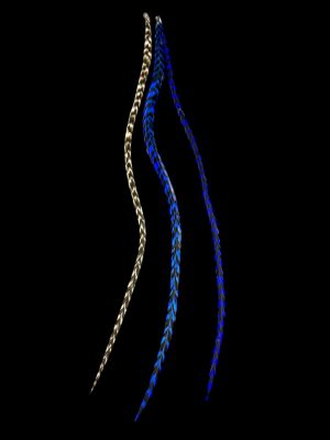 Kézzel festett király kék csíkos és fekete fehér natúr valódi madártoll Hajbatoll 3 darabos szett fekete háttéren fotózva