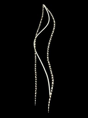 Fekete fehér csíkos és fehér sima valódi madártoll Hajbatoll 3 darabos szett fekete háttéren fotózva