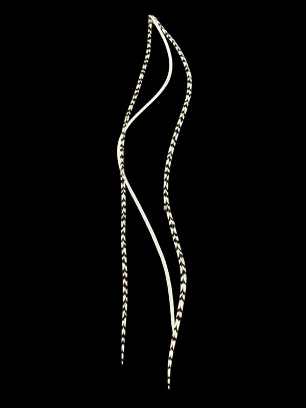 Fekete fehér csíkos és fehér sima valódi madártoll Hajbatoll 3 darabos szett fekete háttéren fotózva