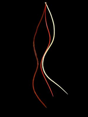 Kézzel festett piros és natúr vöröses barna és bézs árnyalatú valódi madártoll Hajbatoll 3 darabos szett fekete háttéren fotózva