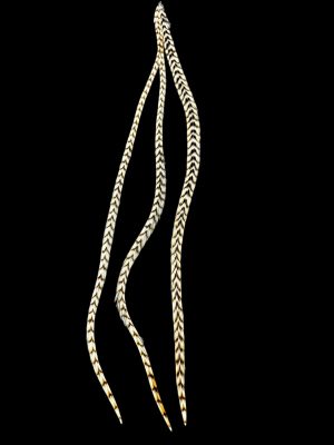 Natúr barna fehér csíkos valódi madártoll Hajbatoll 3 darabos szett fekete háttéren fotózva