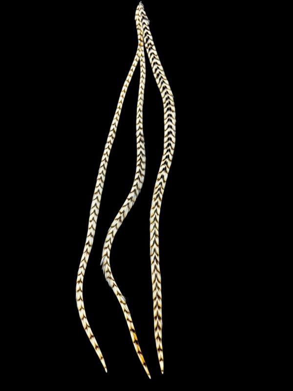 Natúr barna fehér csíkos valódi madártoll Hajbatoll 3 darabos szett fekete háttéren fotózva