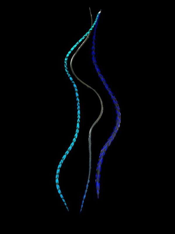Hajbatoll - XL - 28 Kézzel festett király és Türkiz kék csíkos valódi madártoll Hajbatoll 3 darabos szett fekete háttéren fotózva