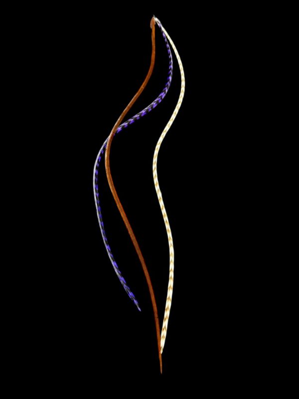 Kézzel festett lila natúr vöröses barna sima és világos barna csíkos valódi madártoll Hajbatoll 3 darabos szett fekete háttéren fotózva