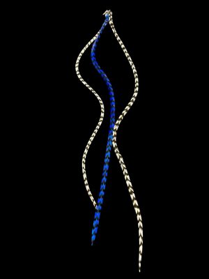 Kézzel festett király kék és fekete fehér csíkos valódi madártoll Hajbatoll 3 darabos szett fekete háttéren fotózva