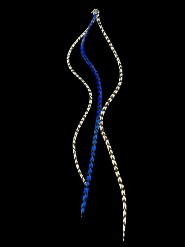 Hajbatoll - XL - 31 Kézzel festett király kék és fekete fehér csíkos valódi madártoll Hajbatoll 3 darabos szett fekete háttéren fotózva