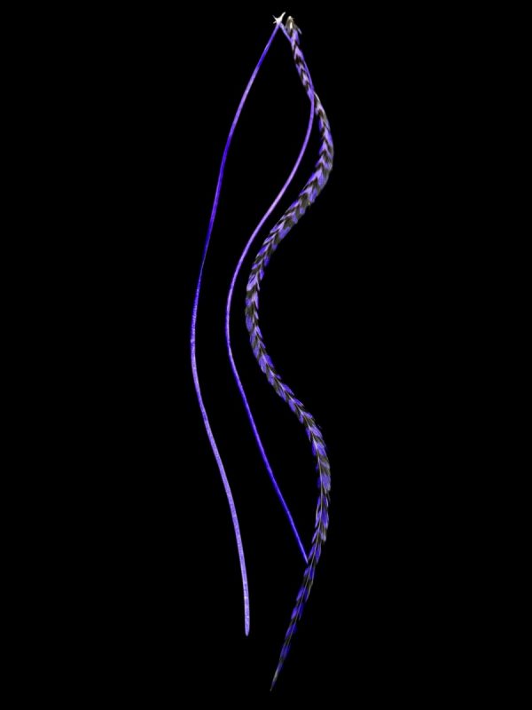 Kézzel festett lila valódi madártoll Hajbatoll 3 darabos szett fekete háttéren fotózva