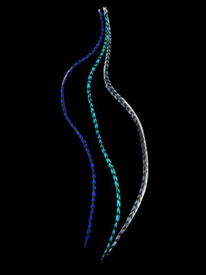 Kézzel festett király kék Türkiz kék és acél kék csíkos valódi madártoll Hajbatoll 3 darabos szett fekete háttéren fotózva