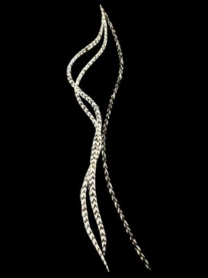 Natúr fekete-fehér zebra csíkos valódi madártoll Hajbatoll 3 darabos szett fekete háttéren fotózva