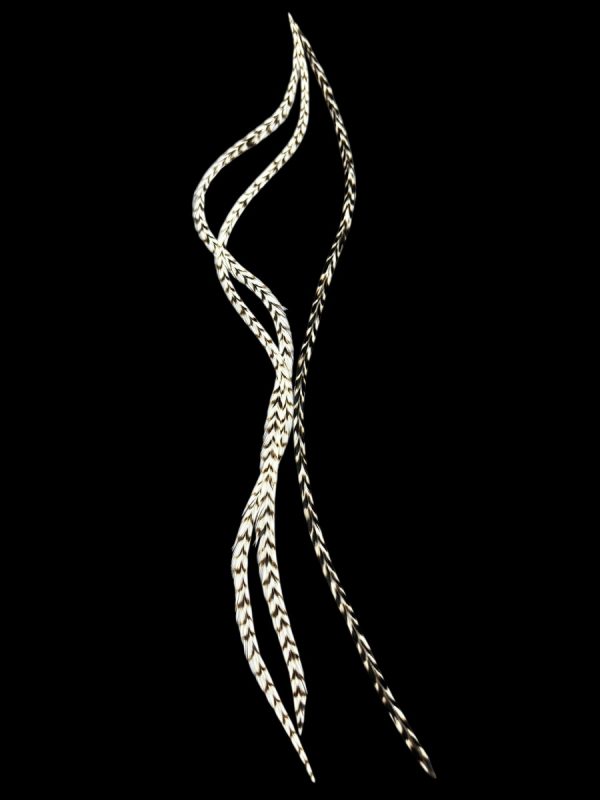 Natúr fekete-fehér zebra csíkos valódi madártoll Hajbatoll 3 darabos szett fekete háttéren fotózva