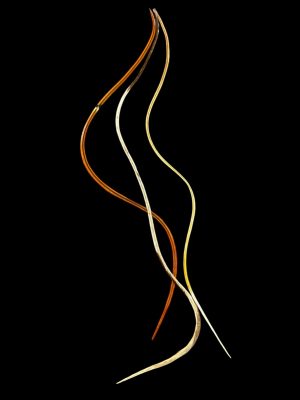 Natúr homok barna foltos és rozsdavörös valódi madártoll Hajbatoll 3 darabos szett fekete háttéren fotózva