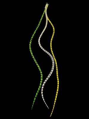 Kézzel festett zöld és sárga csíkos és natúr barna-fehér csíkos valódi madártoll Hajbatoll 3 darabos szett fekete háttéren fotózva