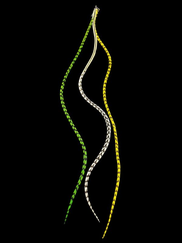 Hajbatoll - XXL - 06 Kézzel festett zöld és sárga csíkos és natúr barna-fehér csíkos valódi madártoll Hajbatoll 3 darabos szett fekete háttéren fotózva