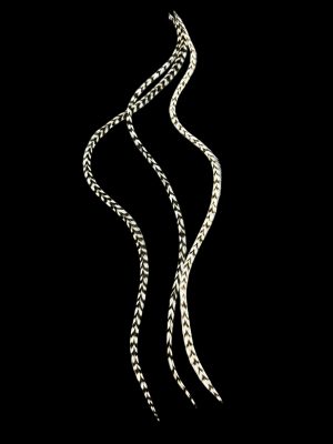 Natúr fekete-fehér csíkos valódi madártoll Hajbatoll 3 darabos szett fekete háttéren fotózva