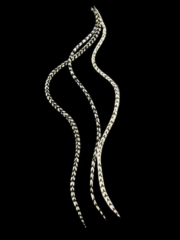 Hajbatoll - XXL - 09 Natúr fekete-fehér csíkos valódi madártoll Hajbatoll 3 darabos szett fekete háttéren fotózva