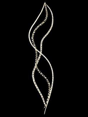 Natúr fekete-fehér halvány és erősebb csíkos valódi madártoll Hajbatoll 3 darabos szett fekete háttéren fotózva