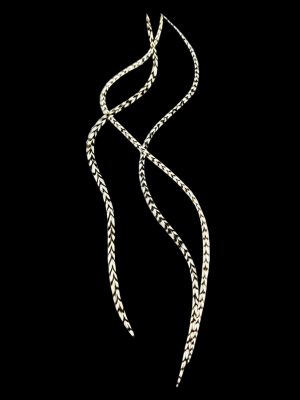 Natúr fekete-fehér zebra csíkos valódi madártoll Hajbatoll 3 darabos szett fekete háttéren fotózva