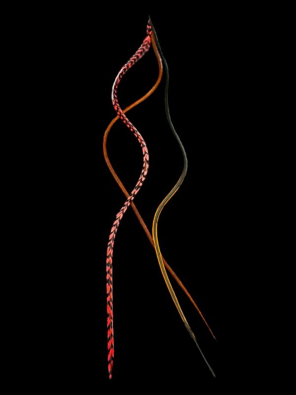 Kézzel festett piros csíkos, vöröses barna sima és irizáló tetejű rozsdavörös végű valódi madártoll Hajbatoll 3 darabos szett fekete háttéren fotózva