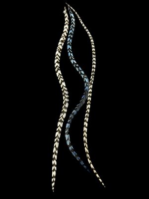 Kézzel festett acélkék csíkos és natúr fekete-fehér csíkos valódi madártoll Hajbatoll 3 darabos szett fekete háttéren fotózva