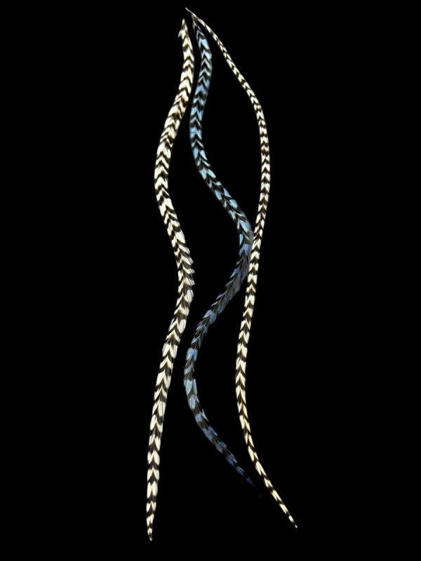 Kézzel festett acélkék csíkos és natúr fekete-fehér csíkos valódi madártoll Hajbatoll 3 darabos szett fekete háttéren fotózva