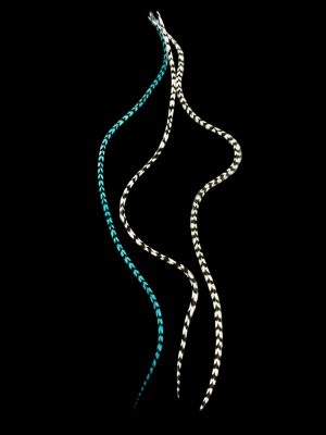 Kézzel festett türkizkék és natúr fekete-fehér csíkos valódi madártoll Hajbatoll 3 darabos szett fekete háttéren fotózva