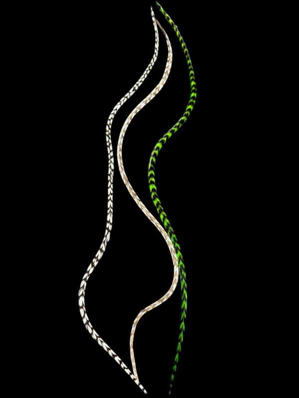 Hajbatoll - XXL - 20 Kézzel festett zöld, natúr fekete-fehér és barna-fehér csíkos valódi madártoll Hajbatoll 3 darabos szett fekete háttéren fotózva