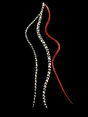 Kézzel festett piros csíkos és natúr fekete-fehér csíkos valódi madártoll Hajbatoll 3 darabos szett fekete háttéren fotózva