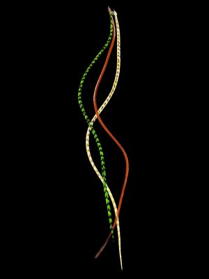 Kézzel festett zöld csíkos és vöröses barna és barnás csíkos valódi madártoll Hajbatoll 3 darabos szett fekete háttéren fotózva