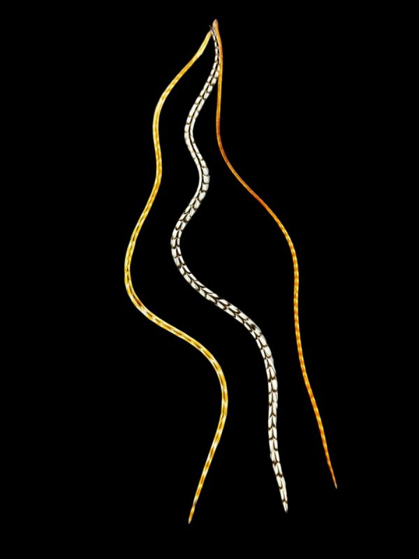 Hajbatoll - XXL - 29 Natúr fekete-fehér csíkos és sárgás barna csíkos és vörös csíkos végű valódi madártoll Hajbatoll 3 darabos szett fekete háttéren fotózva