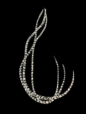 Natúr fekete-fehér zebra csíkos valódi madártoll Hajbatoll 3 darabos szett fekete háttéren fotózva