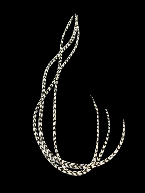 Hajbatoll - XXXL - 03 Natúr fekete-fehér zebra csíkos valódi madártoll Hajbatoll 3 darabos szett fekete háttéren fotózva