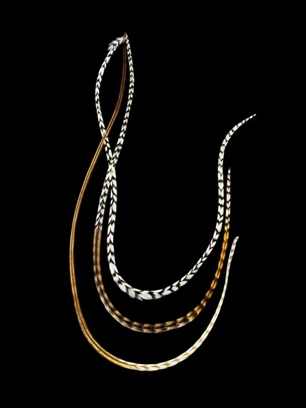 Natúr fekete-fehér és barnás csíkos és homokbarna csíkos végű valódi madártoll Hajbatoll 3 darabos szett fekete háttéren fotózva