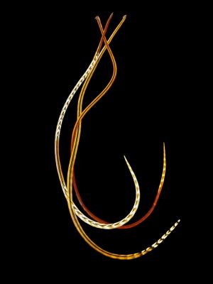 Hajbatoll – XXXL méret – 3 db