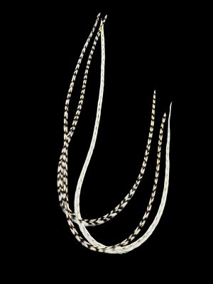 Hajbatoll – XXXL méret – 3 db