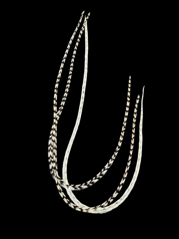 Natúr fekete-fehér csíkos és halvány csíkos valódi madártoll Hajbatoll 3 darabos szett fekete háttéren fotózva