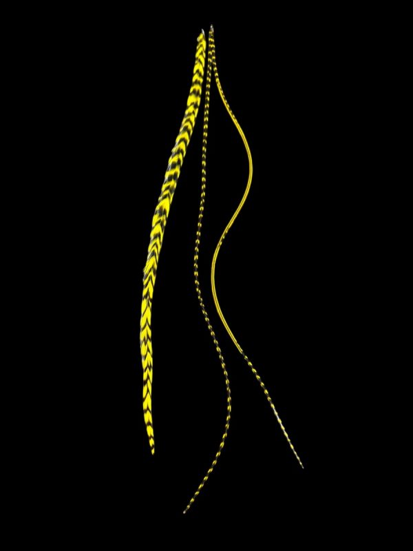 festett sárga natúr barna-fekete valódi madártoll Hajbatoll 3 darabos szett fekete háttéren fotózva 