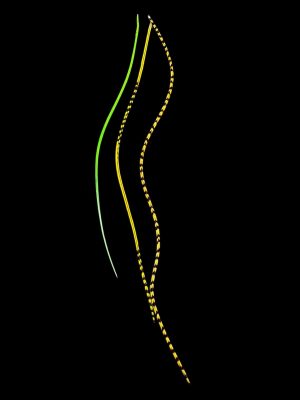 Kézzel festett sárga, narancssárga és zöld csíkos valódi madártoll Hajbatoll 3 darabos szett fekete háttéren fotózva