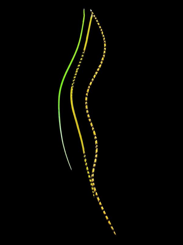 Hajbatoll – 07 Kézzel festett sárga, narancssárga és zöld csíkos valódi madártoll Hajbatoll 3 darabos szett fekete háttéren fotózva