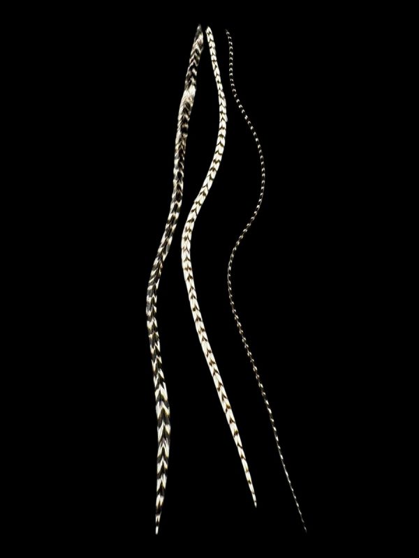 fekete-fehér kontrasztos valódi madártoll Hajbatoll 3 darabos szett fekete háttéren fotózva