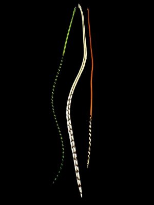 natúr barna-fehér valódi madártoll Hajbatoll 3 darabos szett fekete háttéren fotózva 