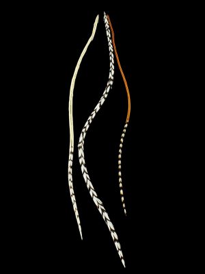 natúr barna-fehér valódi madártoll Hajbatoll 3 darabos szett fekete háttéren fotózva 